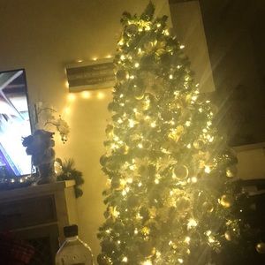 Meet your Posher, Jen